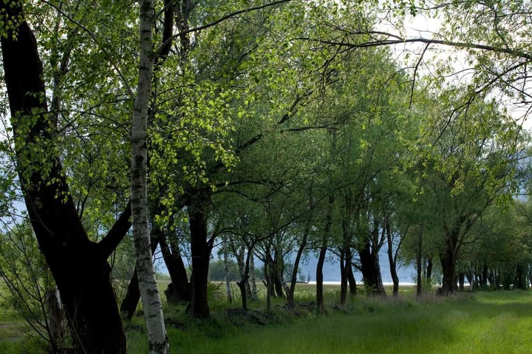 Cascina Borgofrancone Aparthotel Gera Lario Exteriör bild