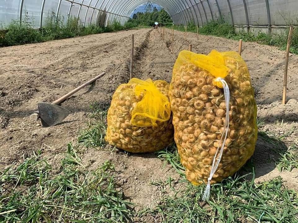 Cascina Borgofrancone Aparthotel Gera Lario Exteriör bild
